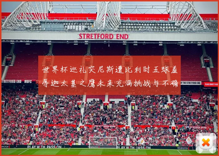 世界杯巡礼突尼斯遭比利时五球羞辱迦太基之鹰未来充满挑战与不确定性